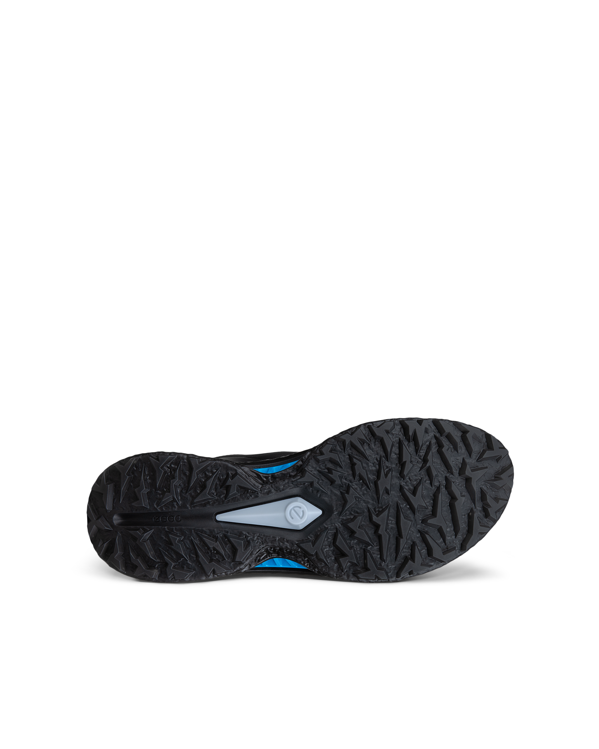 ECCO Herre M Golf Biom C5, sort